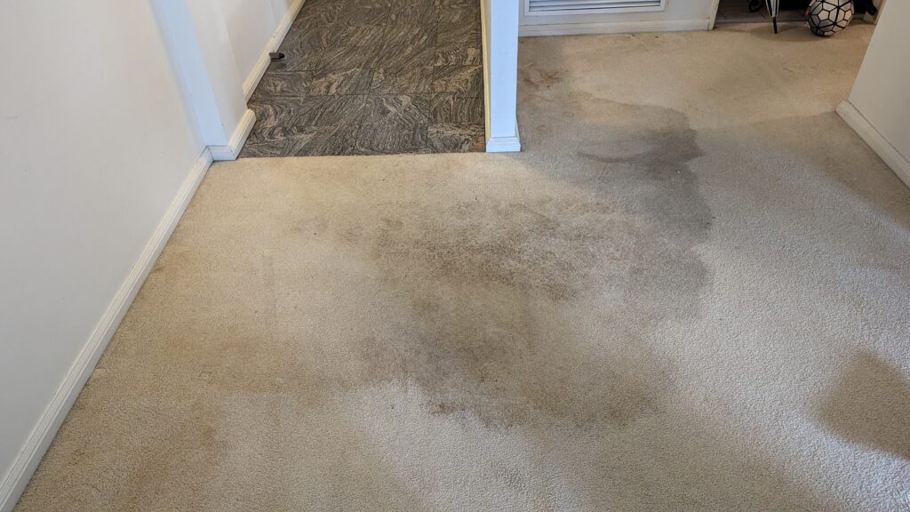 Before