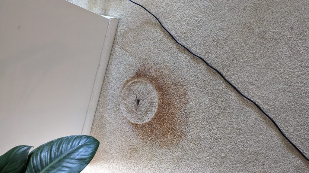 Before
